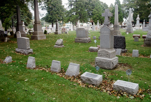 Toohey Plot