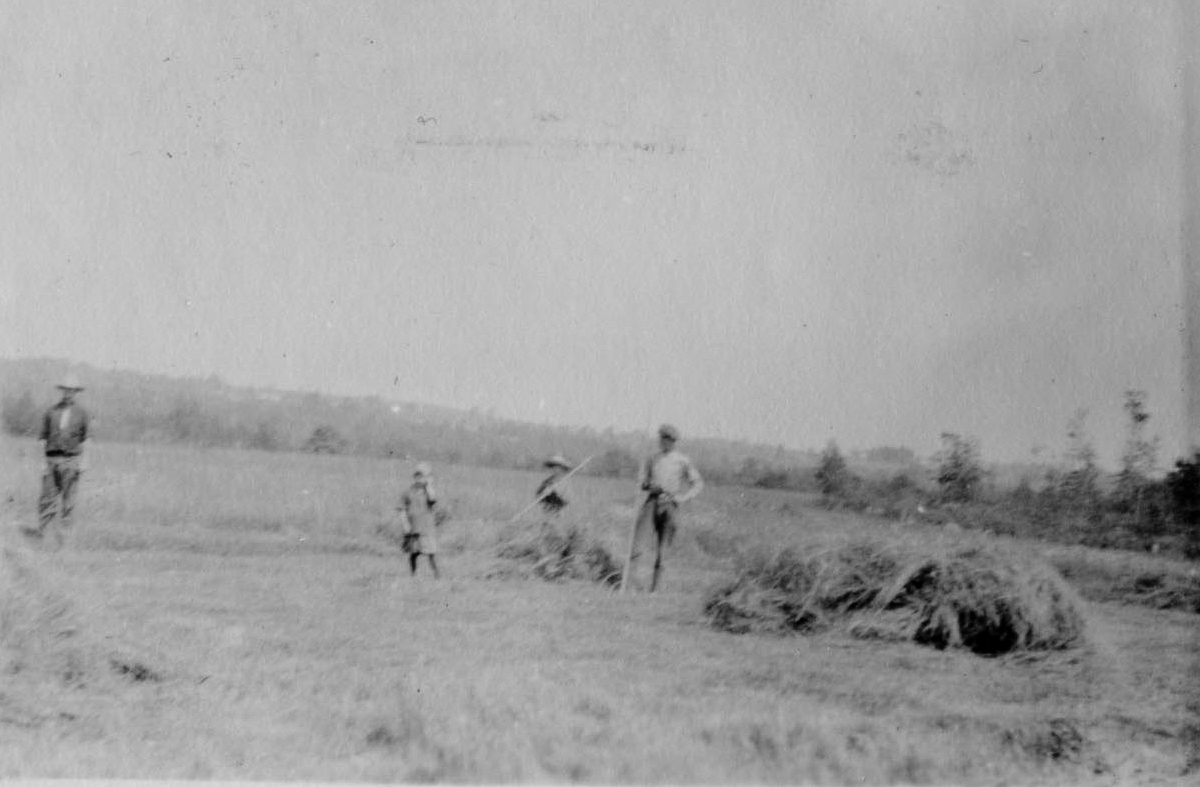 Haying at Ashley Acres